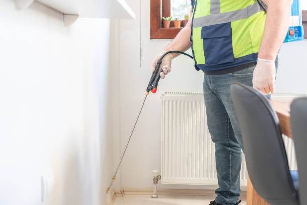 Best Pest Removal Services  in Boulder City, NV