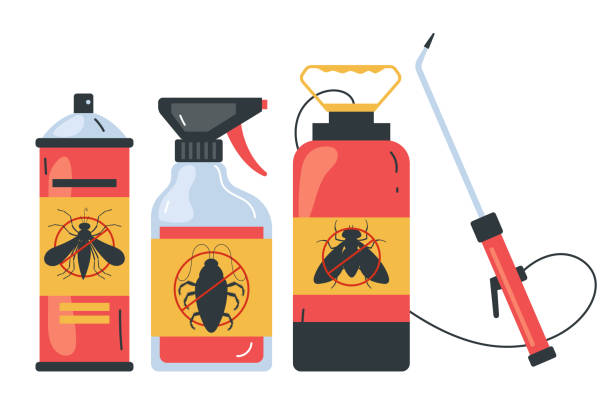 Best Flea Control Services  in Boulder City, NV